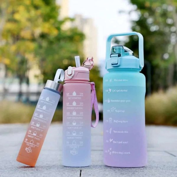 Bottle